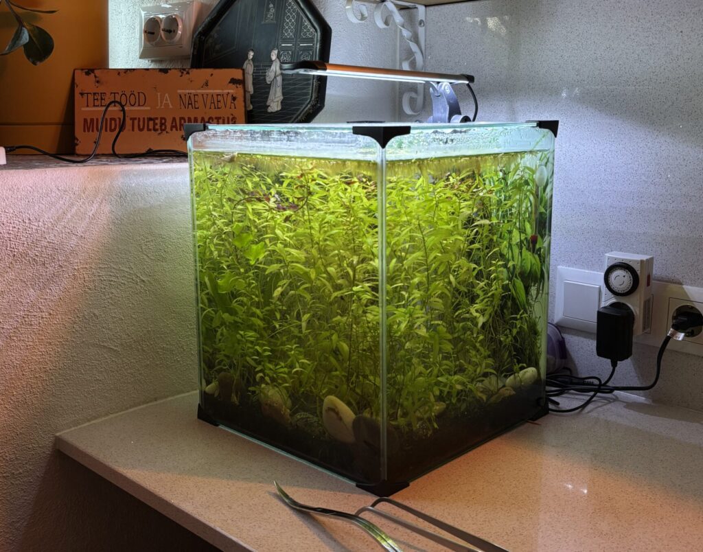 aquascaping töötuba